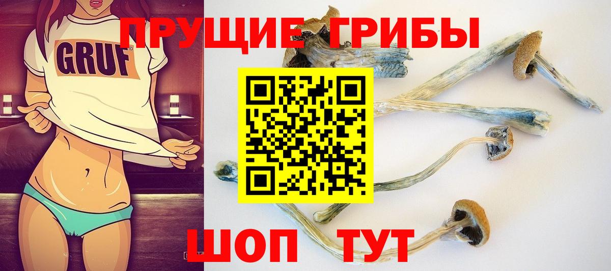 Псилоцибиновые грибы прущие грибы  Вход с VPN  Скопин 